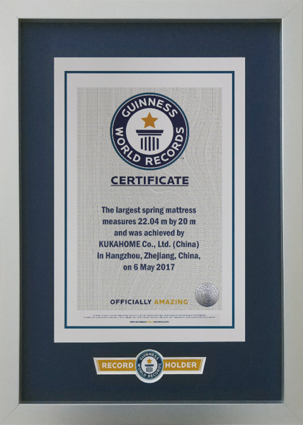 Recognition visual 1